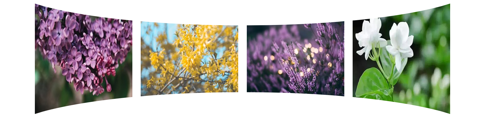 上海鈕愛環(huán)?？萍加邢薰竟倬W(wǎng)